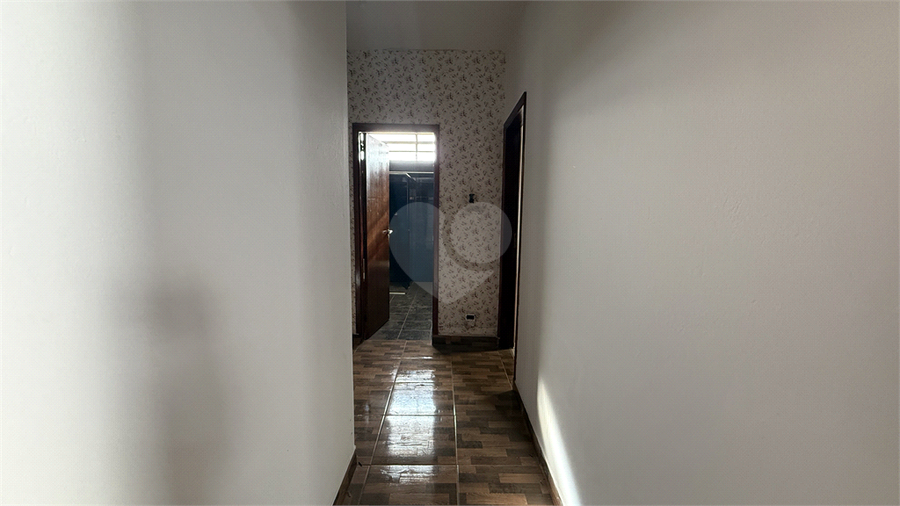 Foto REO1109493