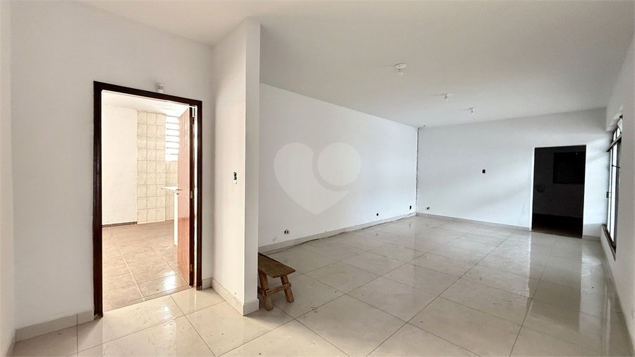 Foto REO1109493