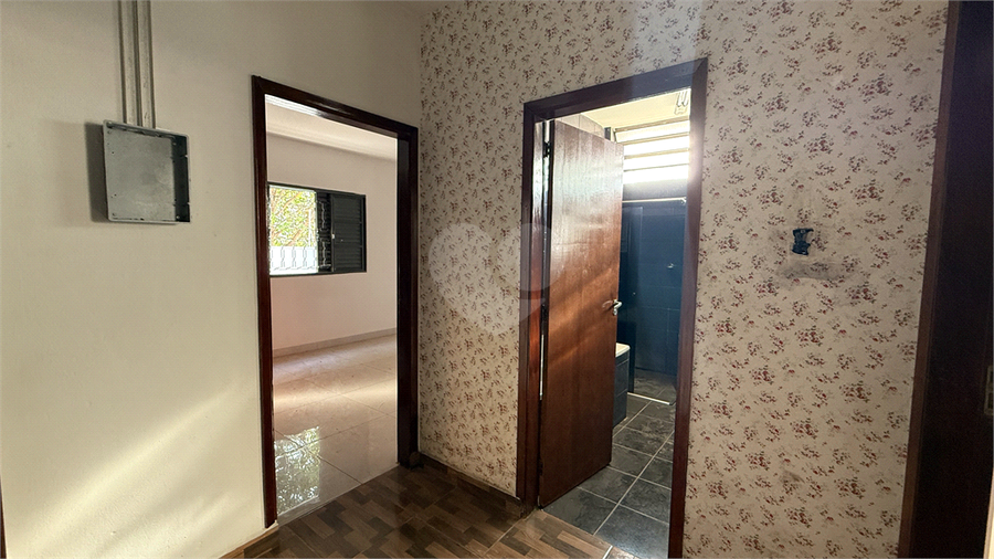Foto REO1109493