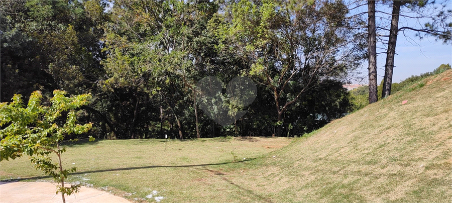 Foto REO1109494