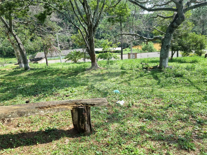 Foto REO1109513