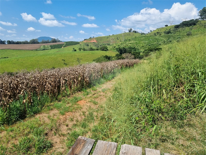 Foto REO1109513
