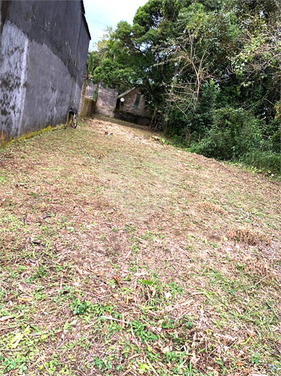 Foto REO1109516