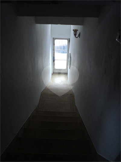 Foto REO1109517
