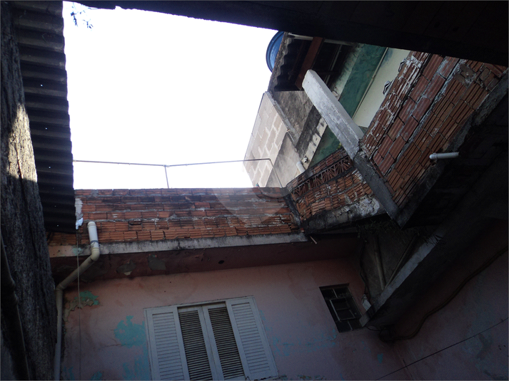 Foto REO1109517