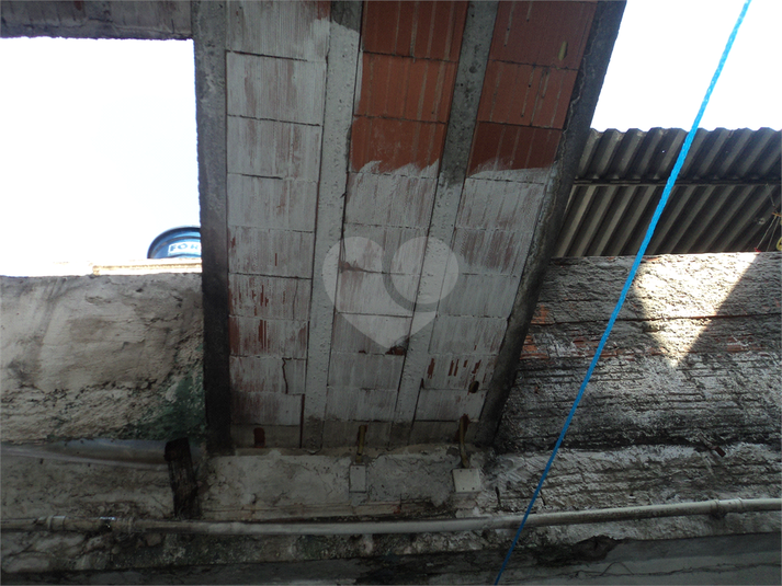 Foto REO1109517