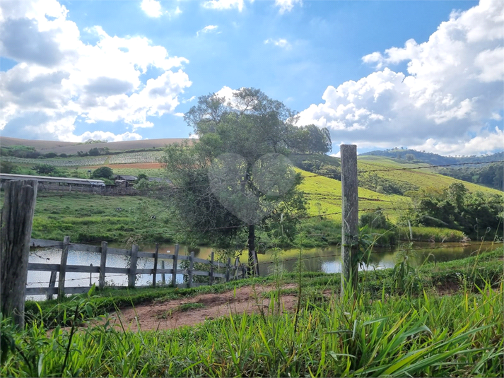 Foto REO1109520