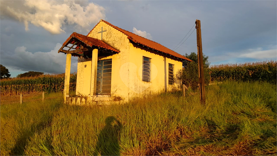 Foto REO1109531