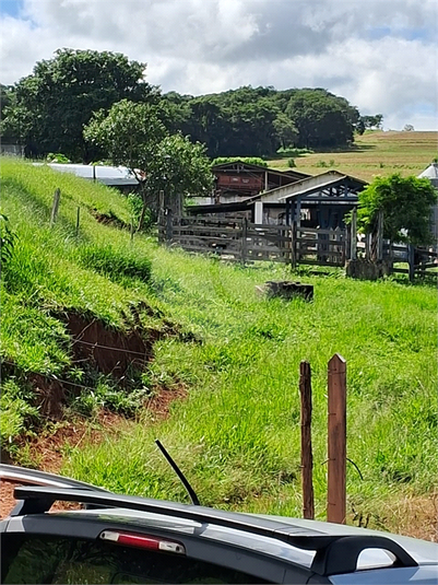 Foto REO1109531