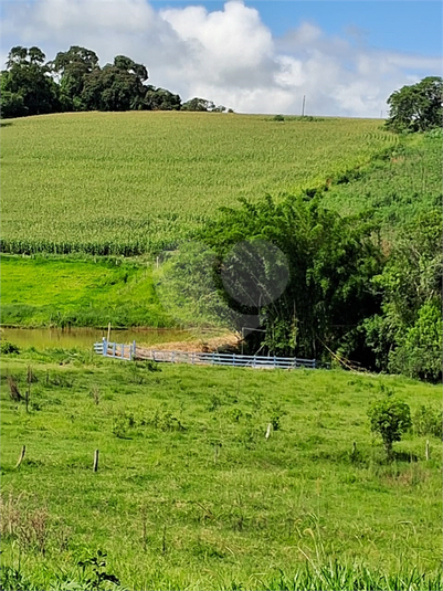 Foto REO1109531