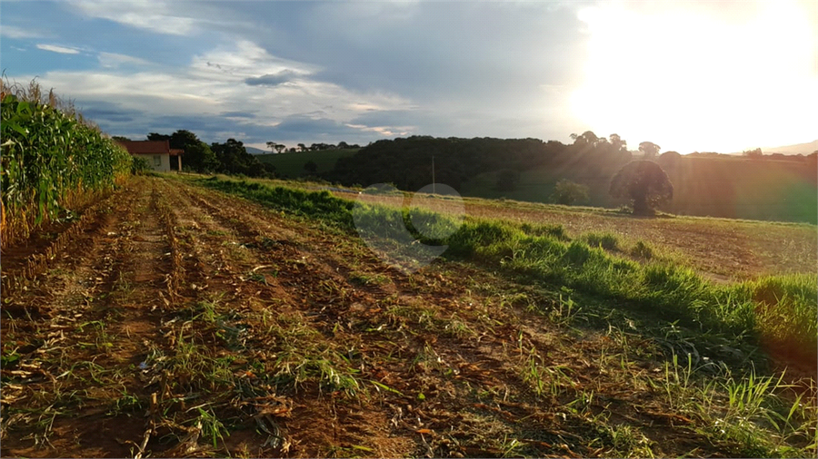 Foto REO1109531