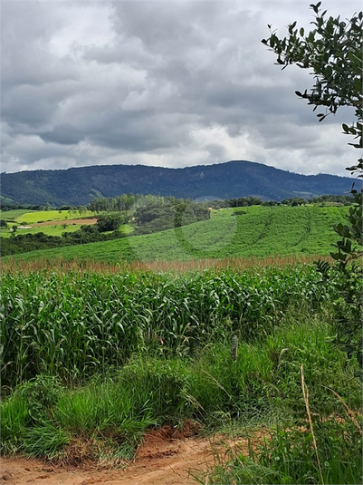 Foto REO1109531