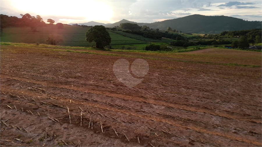 Foto REO1109531