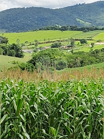 Foto REO1109531