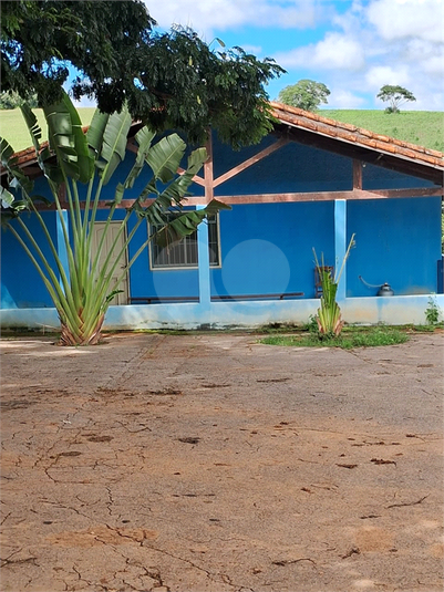 Foto REO1109531