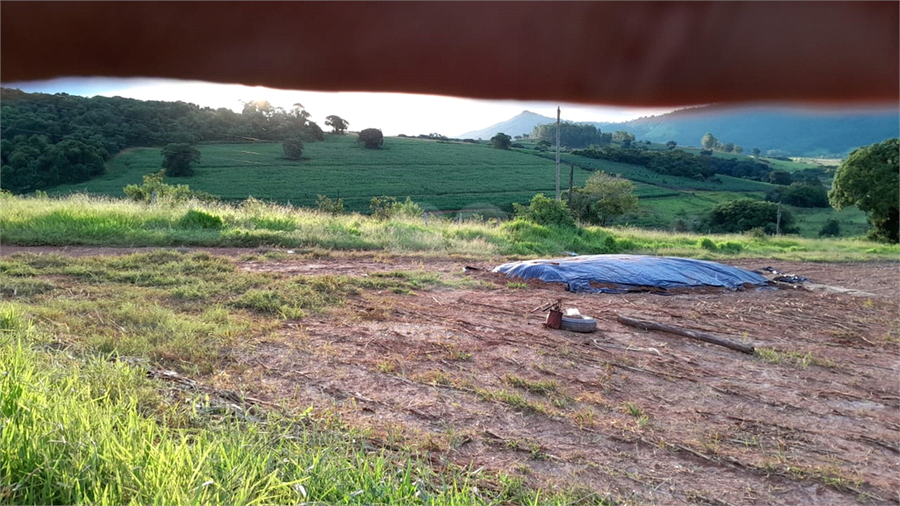 Foto REO1109531