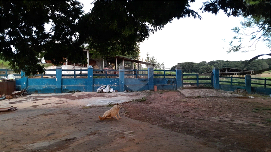 Foto REO1109531