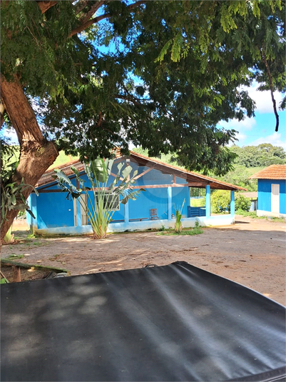 Foto REO1109531