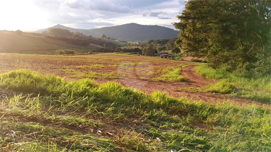 Foto REO1109531