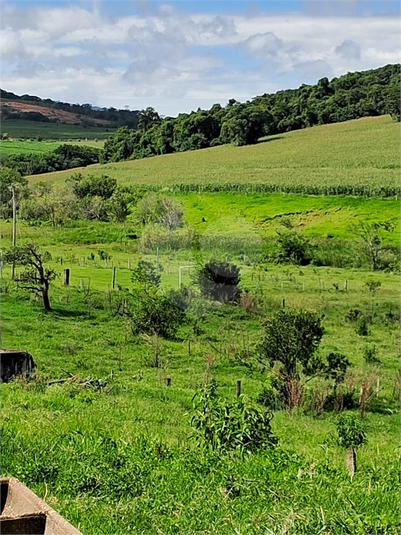 Foto REO1109531