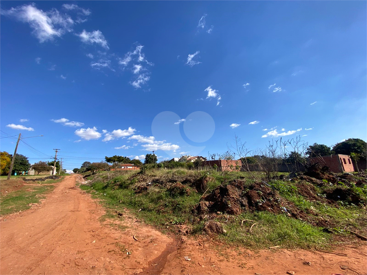 Foto REO1109535