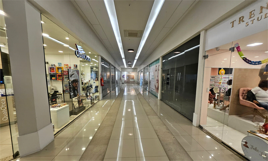 Foto REO1109541