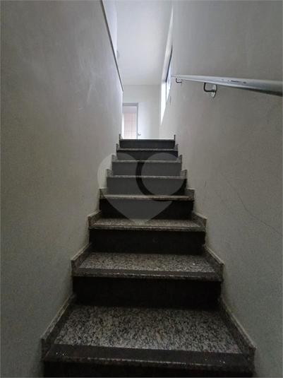 Foto REO1109550