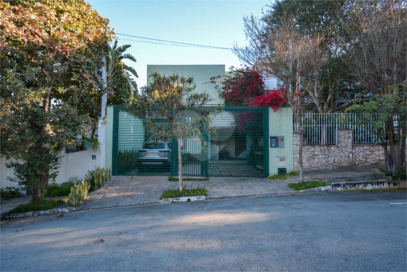 Foto REO1109574
