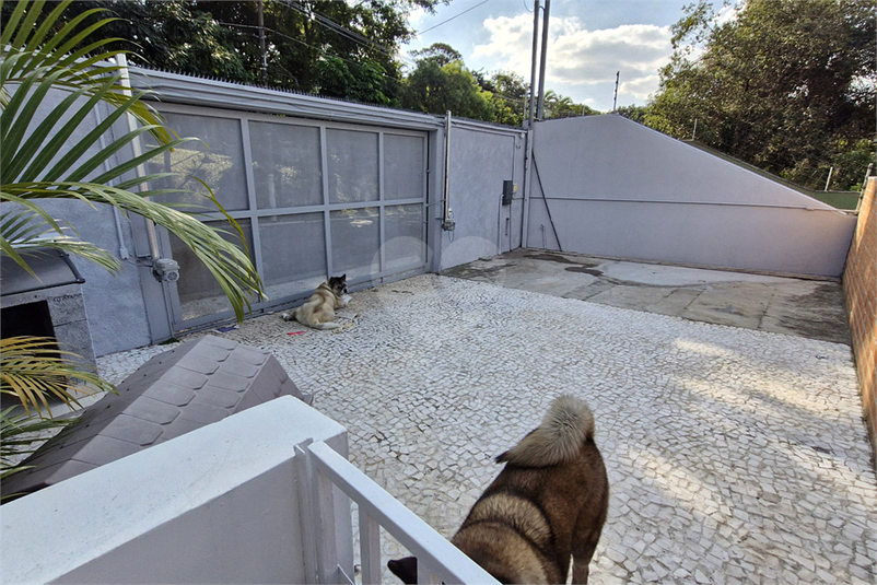 Foto REO1109575