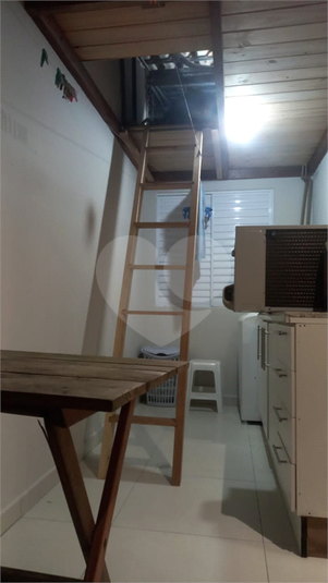 Foto REO1109617