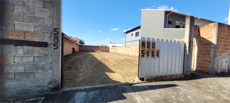 Foto REO1109622