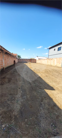 Foto REO1109622