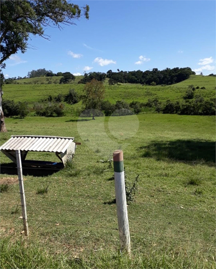 Foto REO1109623