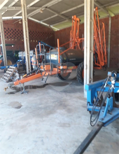 Foto REO1109623