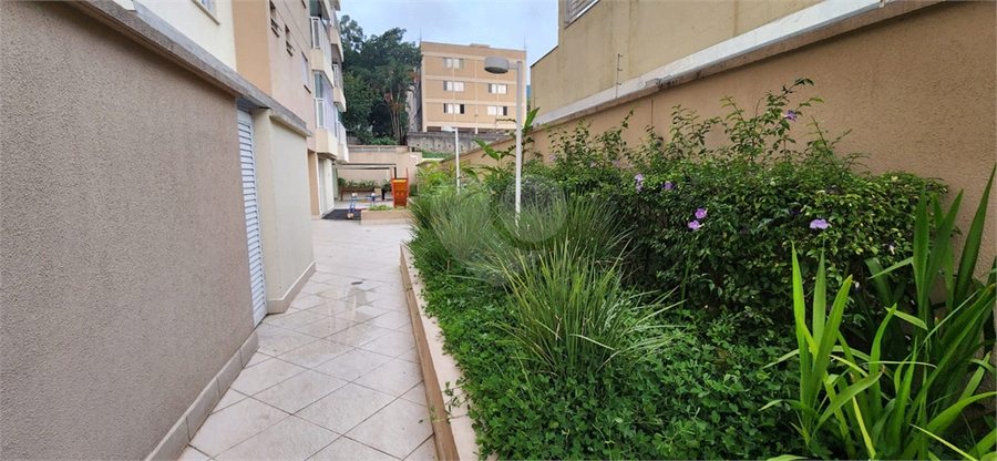 Foto REO1109626