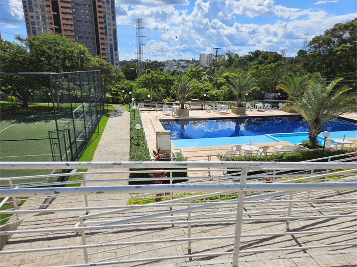 Foto REO1109627