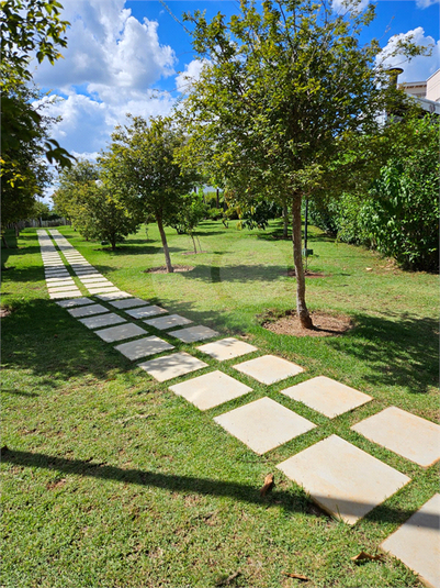 Foto REO1109627