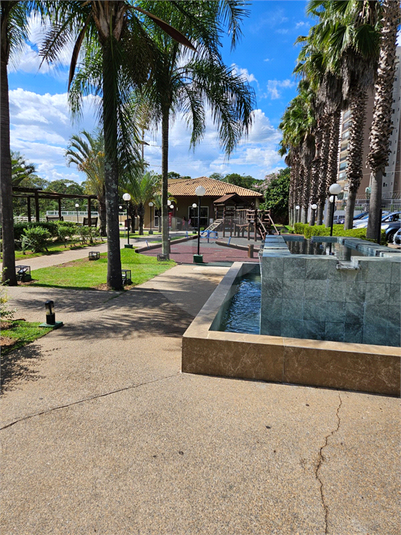 Foto REO1109627