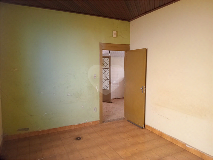 Foto REO1109638