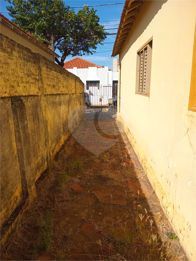 Foto REO1109638