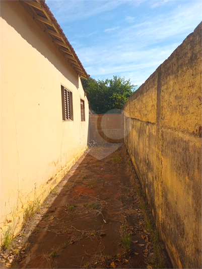 Foto REO1109638