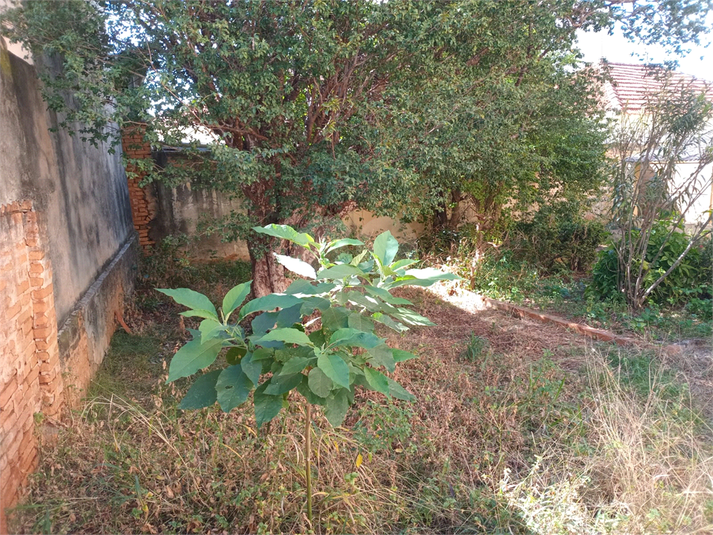 Foto REO1109638
