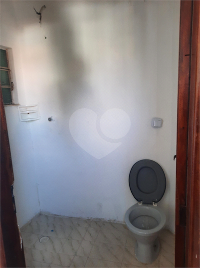 Foto REO1109640