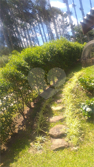 Foto REO1109643