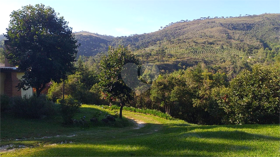 Foto REO1109643