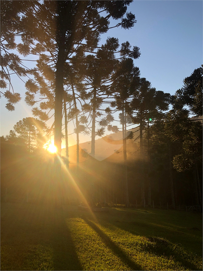 Foto REO1109643