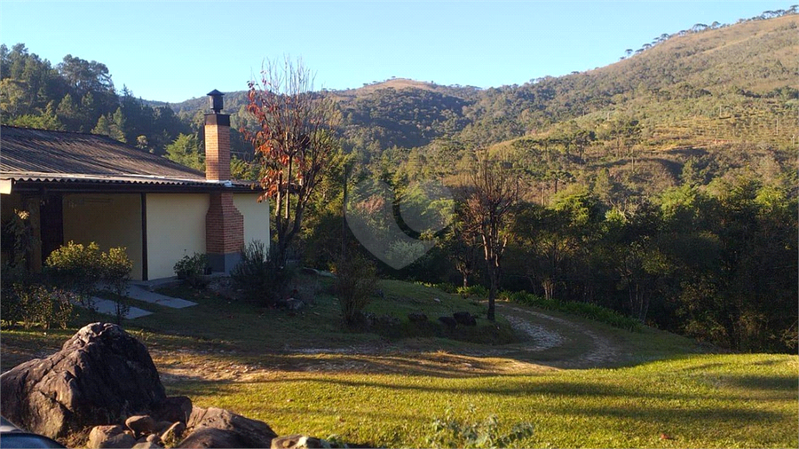 Foto REO1109643