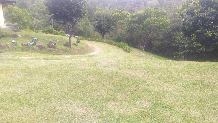 Foto REO1109643