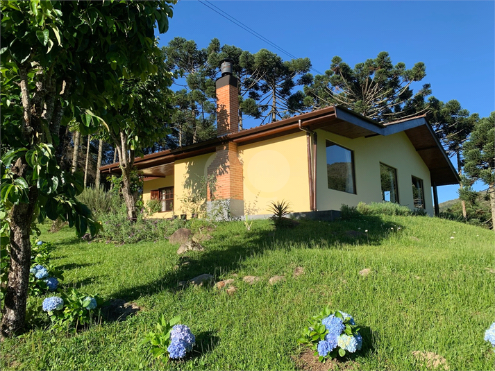 Foto REO1109643