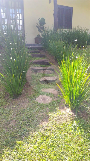Foto REO1109643